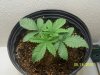 100_2212.jpg