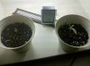 2010-08-16 08.13.22.jpg