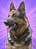 UP-German-Shepherd-01-mmbenya.png