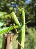DSC00772.jpg