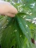 18082010231.jpg