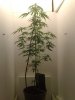 17082010193.jpg