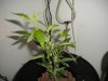 DSCN0751.jpg