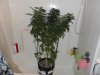 DSCN2331.jpg DSCN2331.jpg