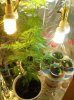 DSCN0338.jpg