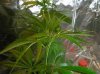 DSCN0339.jpg