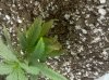 2010-08-19 13.24.31.jpg