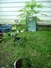 DSC01846.jpg