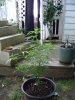 DSC01841.jpg