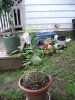 DSC01843.jpg