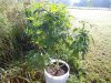 DSC00164.jpg