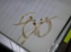 DSCN0644.jpg