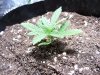 100_0343.jpg