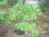 100_0961.jpg