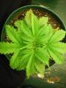 100_0012.jpg