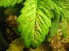 100_0019.jpg