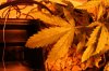 Room 005_800x533.jpg