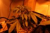 Room 006_800x533.jpg