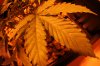 Room 001_800x533.jpg