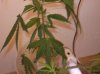 Picture 001.jpg