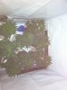 IMG_0460.jpg IMG_0460.jpg