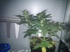 IMG_20100823_115606.jpg