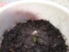 2010 pic upload 001.jpg