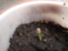 2010 pic upload 008.jpg