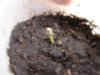 2010 pic upload 007.jpg