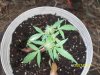 100_0631.jpg