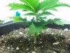 100_4335.jpg