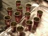 Pic of all 12 plants 5 days in.jpg