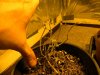 DSCN7775.jpg
