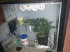 IMG_20100827_094216.jpg
