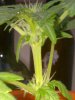 27082010177.jpg