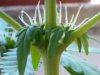 27082010164.jpg