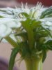 27082010173.jpg