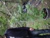 DSC01895.jpg