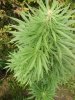 100_0534.jpg