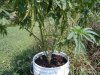 DSC00200.jpg