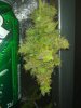 28082010682.jpg