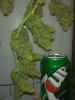 28082010678.jpg