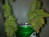 28082010683.jpg