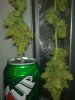 28082010679.jpg