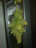 28082010676.jpg