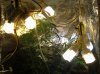 Lights 2.jpg