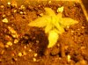 DSCN0660.jpg