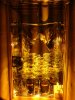 DSC00270.jpg