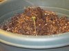 Summer 2010 011.jpg