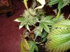 VK Day 64 (8).jpg